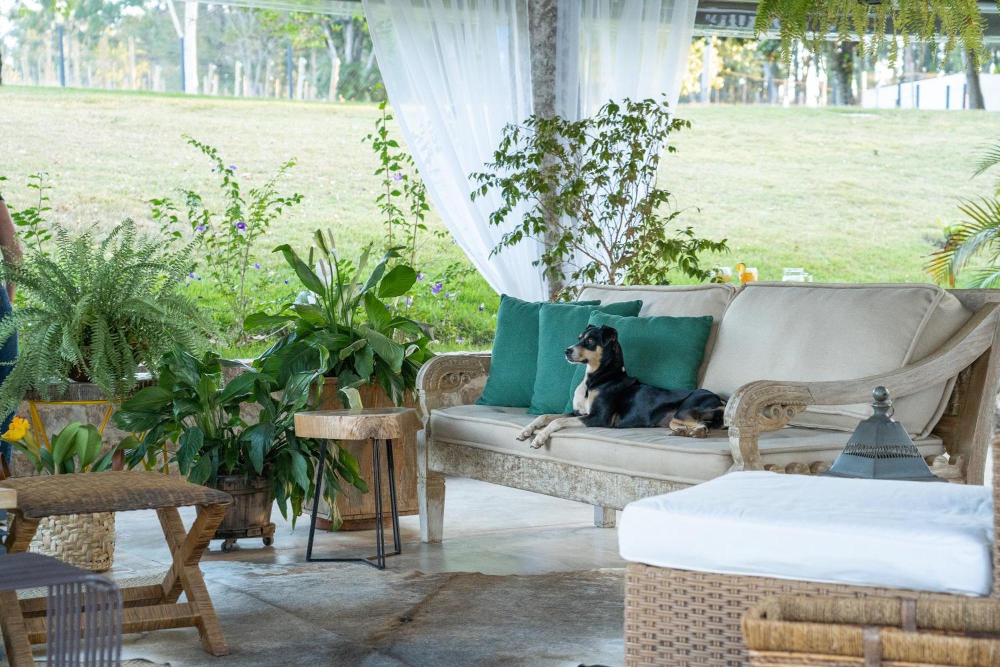 Limoeiro Da Concordia Hotel Fazenda De Charme Cabreuva Bagian luar foto