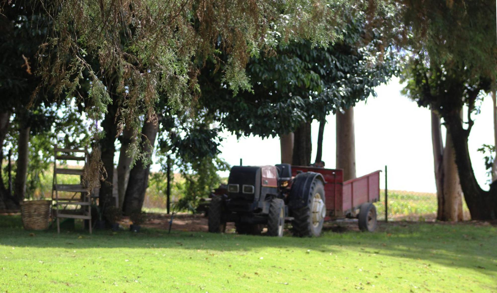 Limoeiro Da Concordia Hotel Fazenda De Charme Cabreuva Bagian luar foto