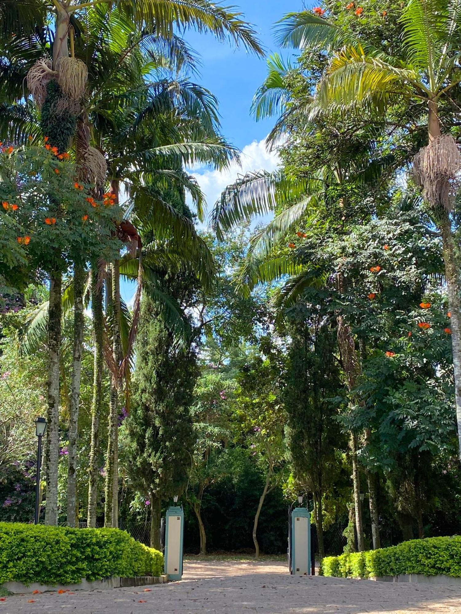 Limoeiro Da Concordia Hotel Fazenda De Charme Cabreuva Bagian luar foto